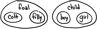 ven diagram showing relationship between child naming and baby horse