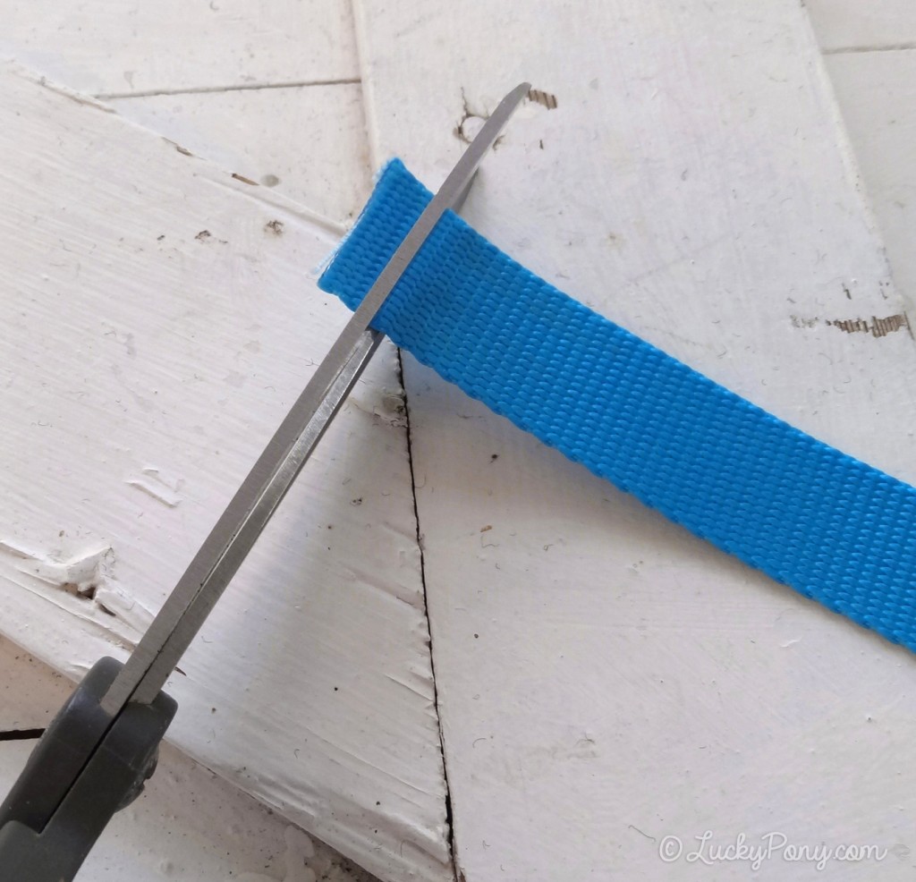 sharp scissors can cut nylon webbing