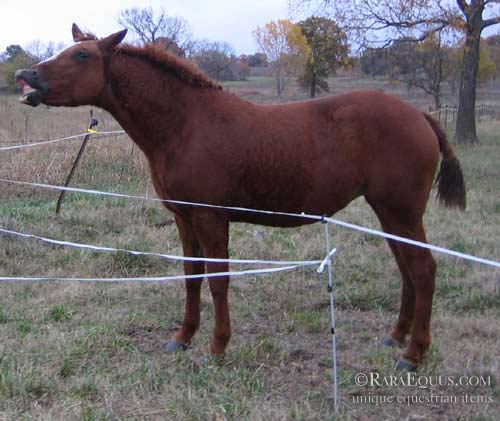 Using a Bit to Slow a Horse Down“></p>
<!-- AddThis Advanced Settings above via filter on the_content --><!-- AddThis Advanced Settings below via filter on the_content --><!-- AddThis Advanced Settings generic via filter on the_content --><!-- AddThis Share Buttons above via filter on the_content --><!-- AddThis Share Buttons below via filter on the_content --><div class=