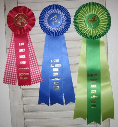 horse_show_ribbons