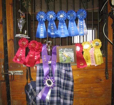 horse_show_trophies