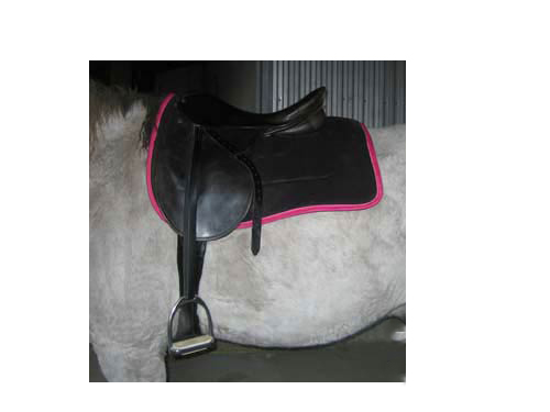 Ribbon Saddle Pads“></p>
<!-- AddThis Advanced Settings above via filter on the_content --><!-- AddThis Advanced Settings below via filter on the_content --><!-- AddThis Advanced Settings generic via filter on the_content --><!-- AddThis Share Buttons above via filter on the_content --><!-- AddThis Share Buttons below via filter on the_content --><div class=