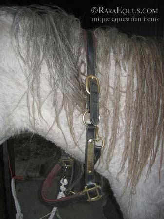 Halter on Neck when Bridling a Horse