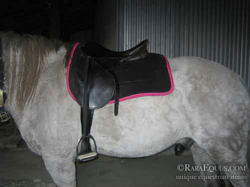 Saddle Position on Horse