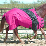 Exselle Prima Horse Blanket -  Raspberry Pink