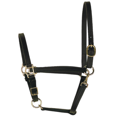 3/4" Wide Perri's Leather Turnout Halter