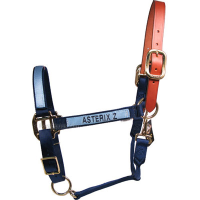  The Ultimate Custom Nylon Horse Halter- USA made- embroidered