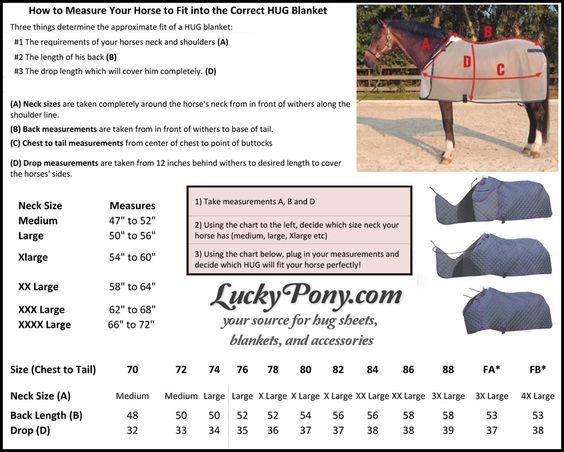 Pony Blanket Size Chart