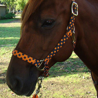 Halloween Orange & Black Polka Dot Horse Halter