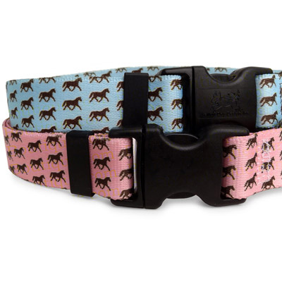 Little Horses Dog Collar - Pink or Blue