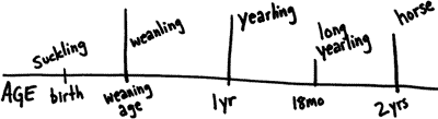 graph showing horse names as horse ages