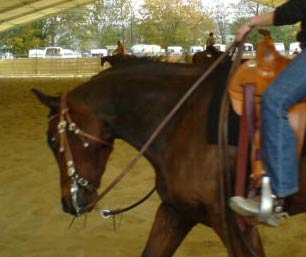 horse riding hand position