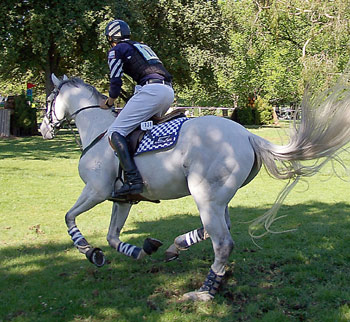 rider riding a horse in two point position