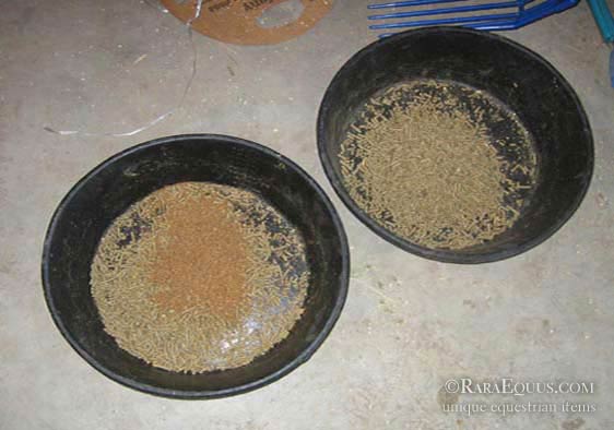 Platform Horse Feed