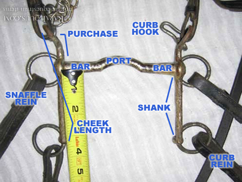 Parts of a Pelham Bit 