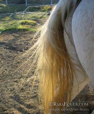 Static in Horse Tails and Coats