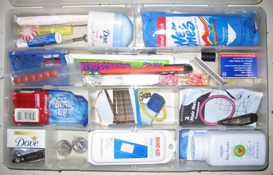 Horse Show Survival Kit