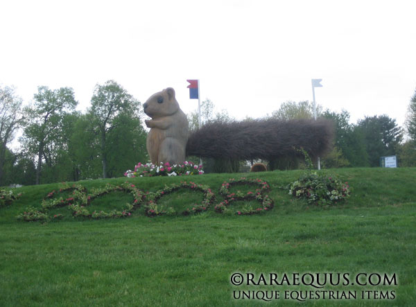 rolexccsquirrel