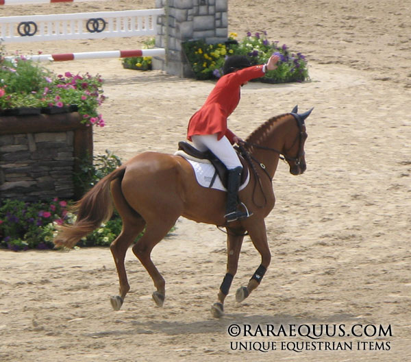 teddy_victory_gallop3