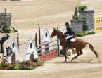 dobbin_stadium