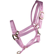 Poll-Pressure Training Halter