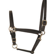 Deluxe  Weanling or Yearling Leather Halter