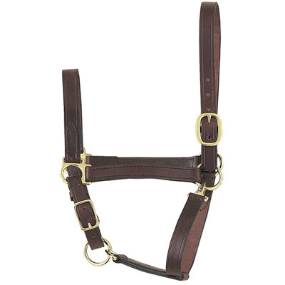 Suckling Foal Leather Halter