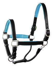 Luxury Padded Leather Horse Halter - Custom Engraved- USA made