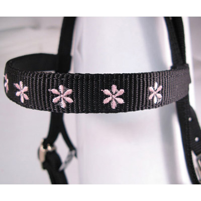Embroidered Western Headstall With Browband