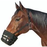 Best Friend Deluxe Grazing Muzzle