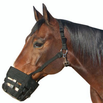 Best Friend Deluxe Grazing Muzzle