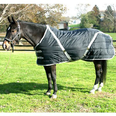 Snuggie Pony Stable Blanket – 420 Gram Fill - Black