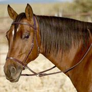 Nurtural Horse Elegant Leather English Bitless Bridle