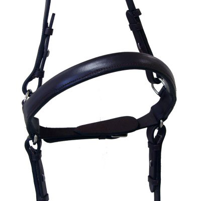 English Jumping Hackamore