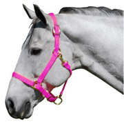 Neon Pink Nylon Horse Halter