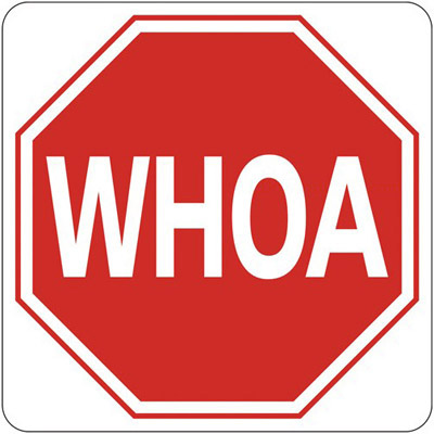 WHOA - Stop Sign -  All Weather Barn Sign