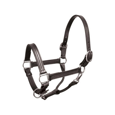 Black with Silver Hardware Leather Show Halter