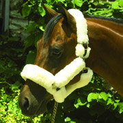 Sheepskin Covered Leather Shipping Halter