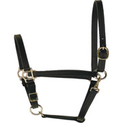 3/4" Wide Perri's Leather Turnout Halter