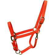 Perri's Orange Nylon Horse Halter