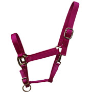 Perri's Raspberry Pink Nylon Horse Halter