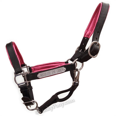 Luxury Padded Leather Horse Halter - Custom Engraved- USA made