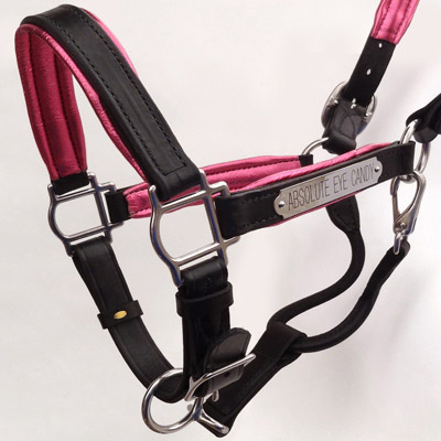 Luxury Padded Leather Horse Halter - Custom Engraved- USA made