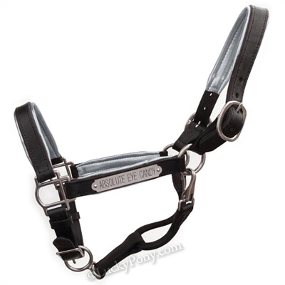 Padded Leather Halter - Black with Silver Padding