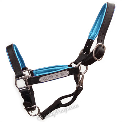 Padded Leather Halter -  Metallic Turquoise Padding