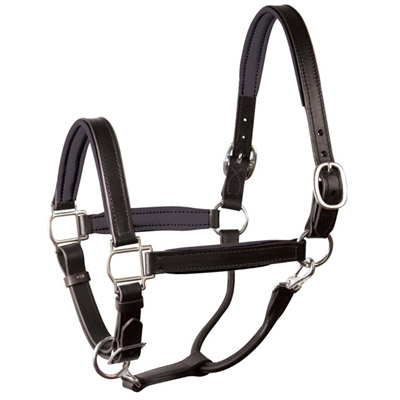 Luxury Padded Leather Halter - Black with Black Padding - Stainless