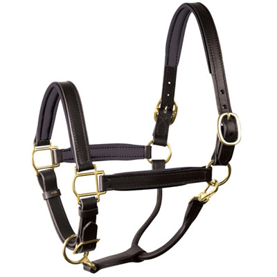 Luxury Padded Leather Halter - Black with Black Padding - Brass