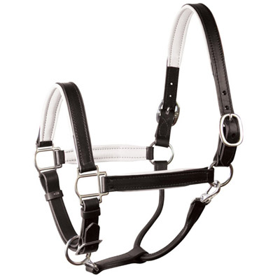 Luxury Padded Leather Halter - Black with White Padding