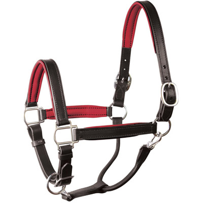 Luxury Padded Leather Halter - Black with Barn Red Padding