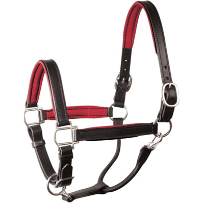 Padded Leather Halter - Black with  Red Lining